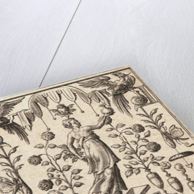 La Physique by Etienne Delaune