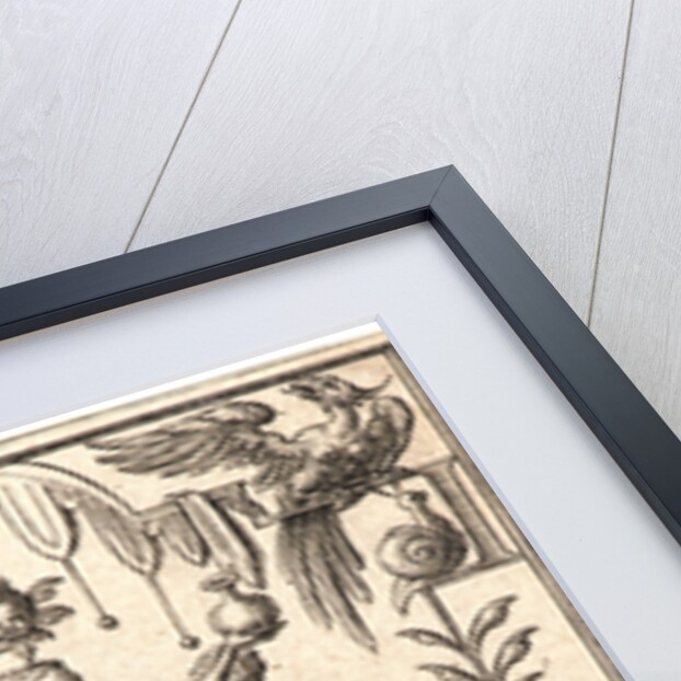 La Physique by Etienne Delaune