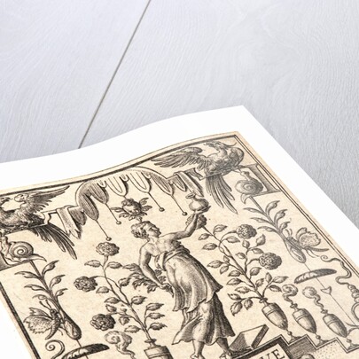 La Physique by Etienne Delaune