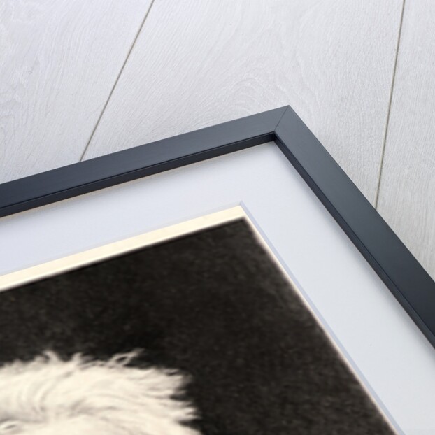 Portrait of Corot, ca. 1880 by Etienne-Gabriel Bocourt