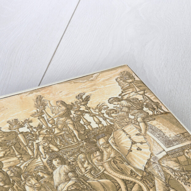 The Elephants, 1598 by Andrea Andreani