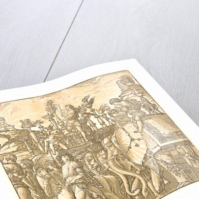 The Elephants, 1598 by Andrea Andreani