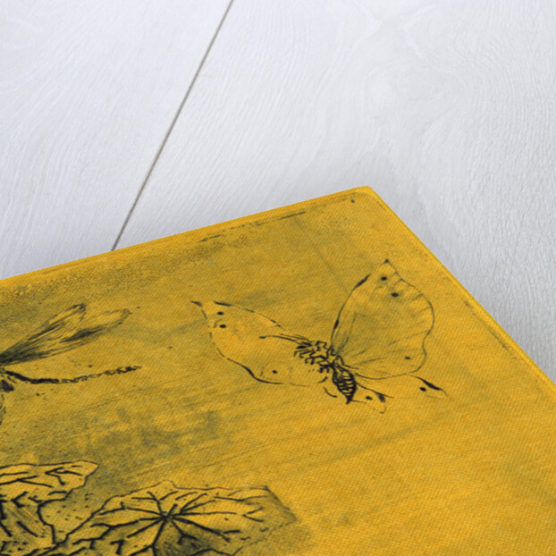 Bookplate with Butterfly and Dragonfly (Ex Libris Papillon et Libellule), 19th century by Félix Hilaire Buhot