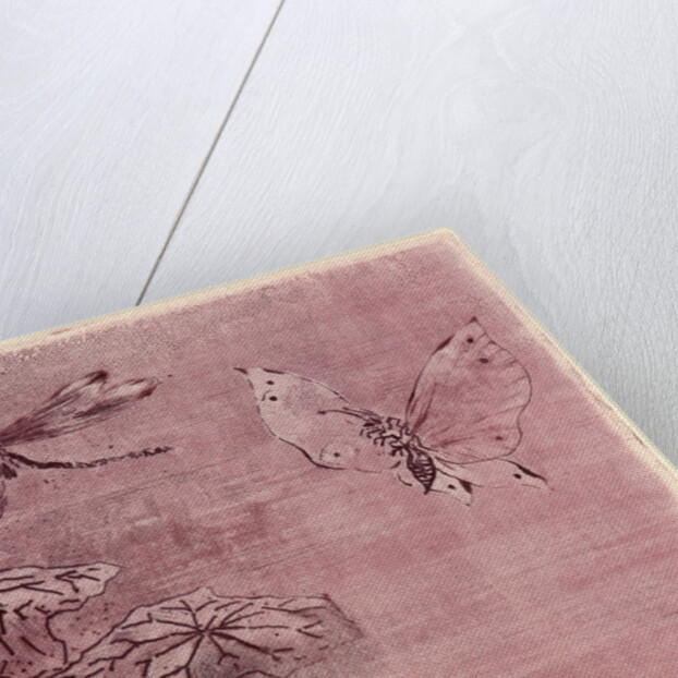 Bookplate with Butterfly and Dragonfly (Ex Libris Papillon et Libellule), 19th century by Félix Hilaire Buhot