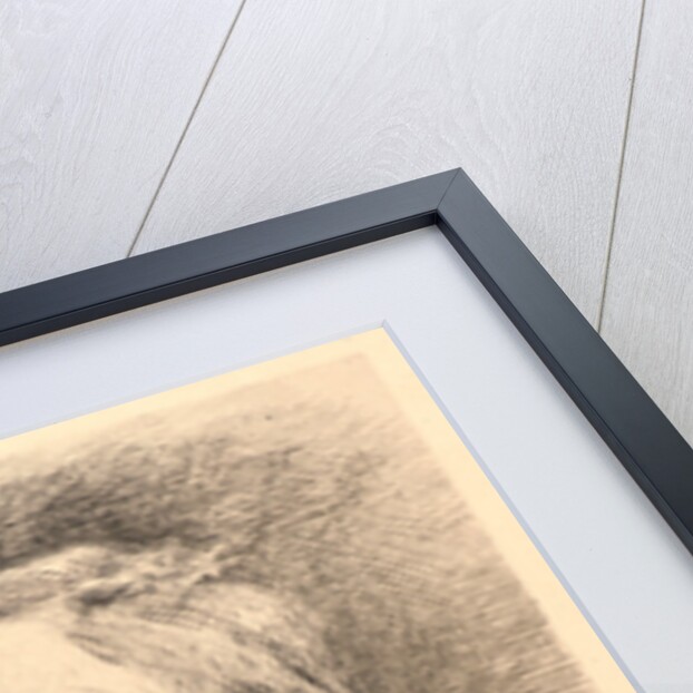 A Painter Etcher (Portrait of Jozef Israels), 19th century by Charles Courtry