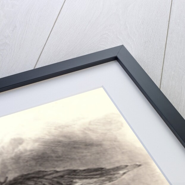 Mephistopheles in the Air (Méphistophélès dans les airs), 1828 by Eugène Delacroix