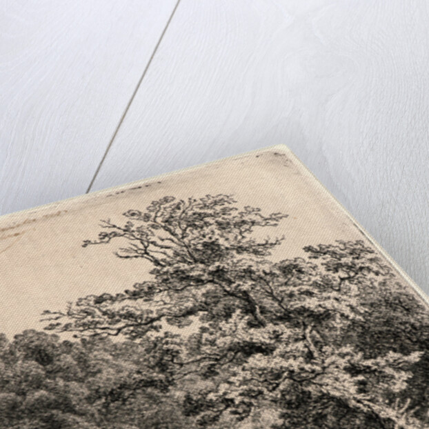 Waterfall, 19th century by Eugène-Stanislas-Alexandre Blery