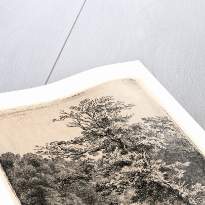 Waterfall, 19th century by Eugène-Stanislas-Alexandre Blery