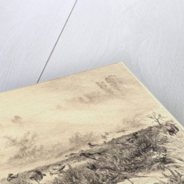 Morning Mists (Brumes du Matin) by Félix Bracquemond