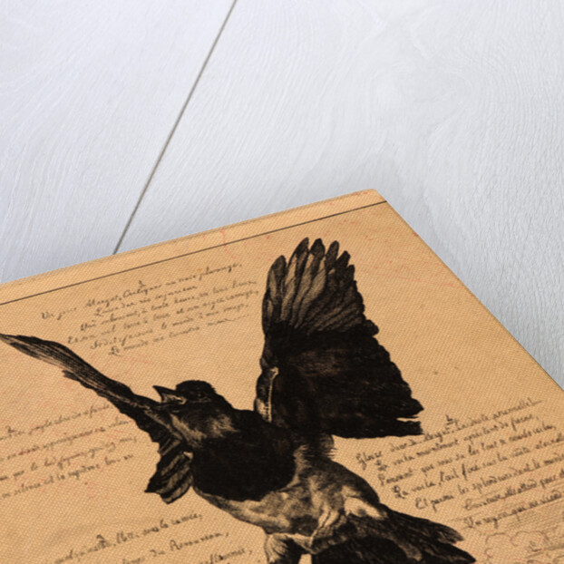 Margot la Critique, ou la Pie by Félix Bracquemond