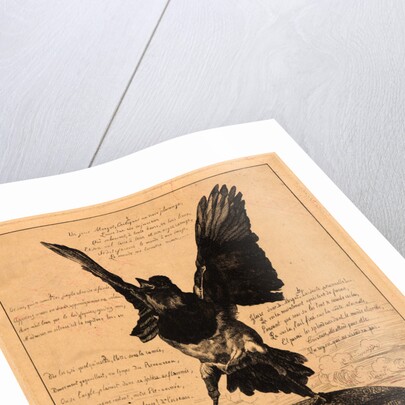 Margot la Critique, ou la Pie by Félix Bracquemond