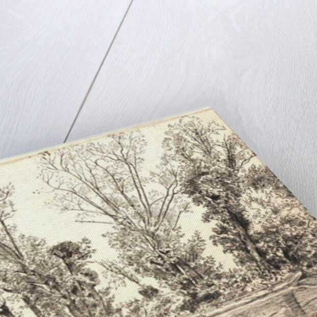 Willows (Les Saules des Mottiaux), 19th century by Félix Bracquemond