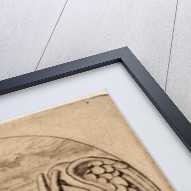 Le Stryge, 1853 by Charles Meryon