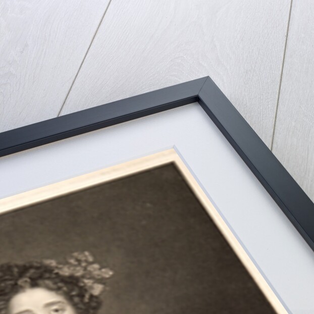 Portrait of Catherine Marguerite Mignard, Comtesse de Fouquière, Daughter of the Painter Pierre Mignard, 1735 by Jean Daullé