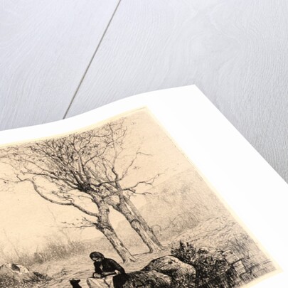 Bords de Ruisscau à Rossillon, 1867 by Adolphe Appian