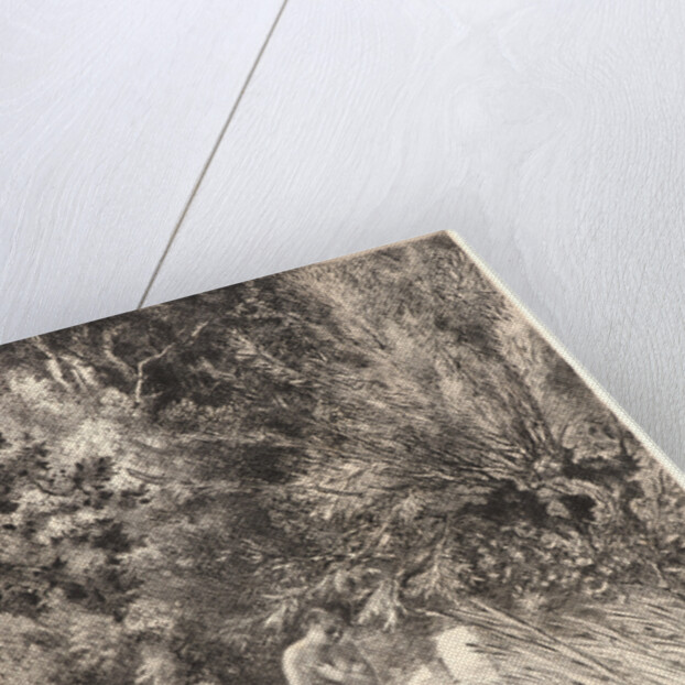 Surprised Ducks (Canards Surpris). by Félix Bracquemond