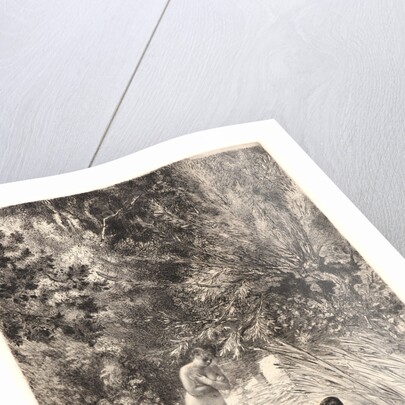 Surprised Ducks (Canards Surpris). by Félix Bracquemond