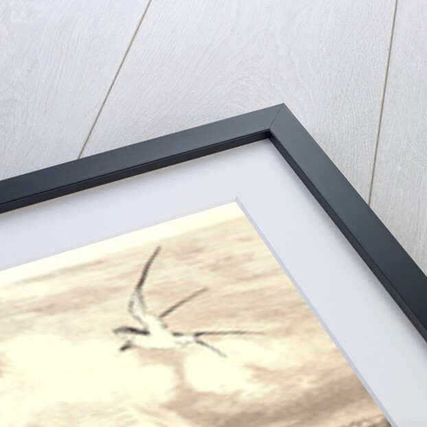 The Swallows (Les Hirondelles). by Félix Bracquemond