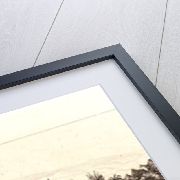 Océania: Fishing, near Islands with Palms in the Uvea or Wallis Group (Océanie: Ilots à Uvea), 1863 by Charles Meryon