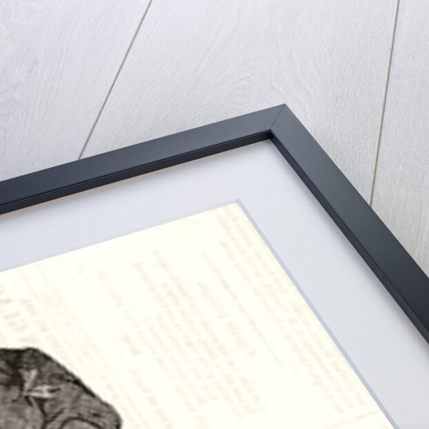 Nous appelons ça une badine....c'est pour badiner, 1834 by Honoré Daumier