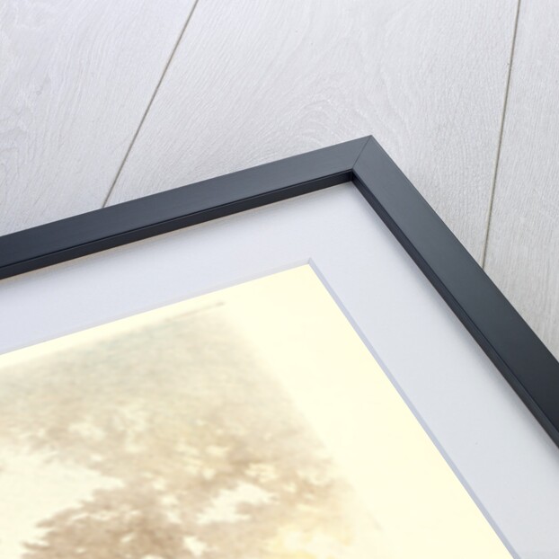 Polichinelle, ca. 1898 by P. Dillon