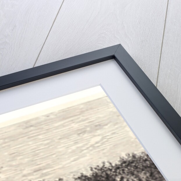 The Sheepfold, Morning (La Grand Parc à Moutons, le Matin), ca. 1860 by Charles François Daubigny