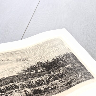 The Sheepfold, Morning (La Grand Parc à Moutons, le Matin), ca. 1860 by Charles François Daubigny