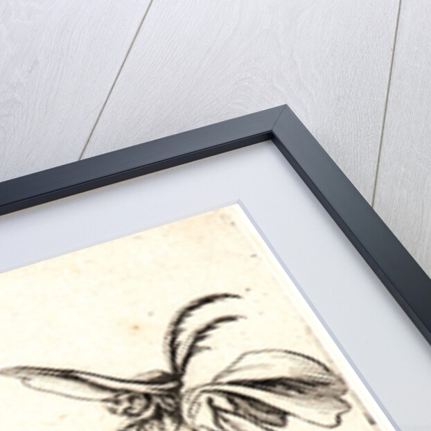 Taglia Cantoni and Fracasso, 1622 and later by Jacques Callot