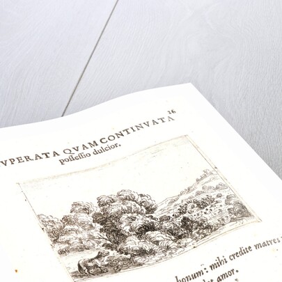 La Brebis Appelant son Agneau, 17th century by Jacques Callot