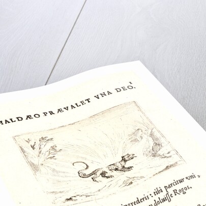 Salamandre Marchant dans les Flammes, 17th century by Jacques Callot