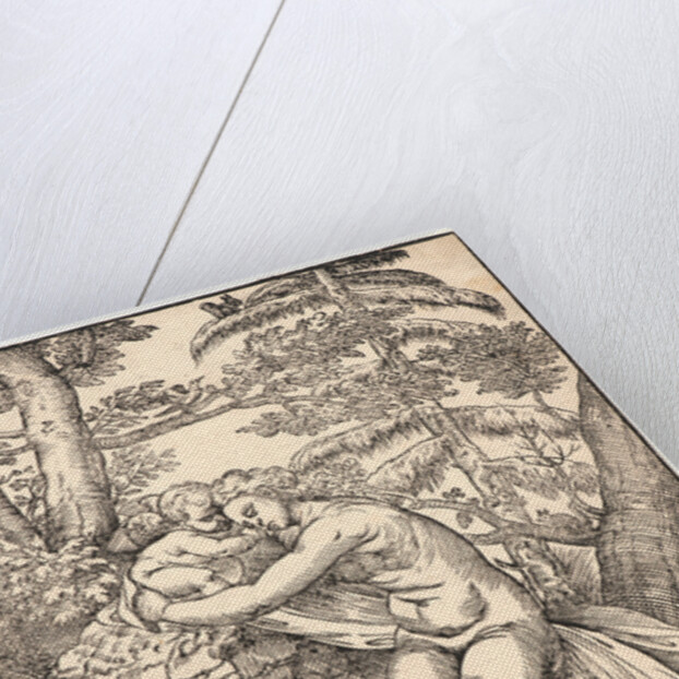 Venus and Amor, 1566 by Nicolò Boldrini