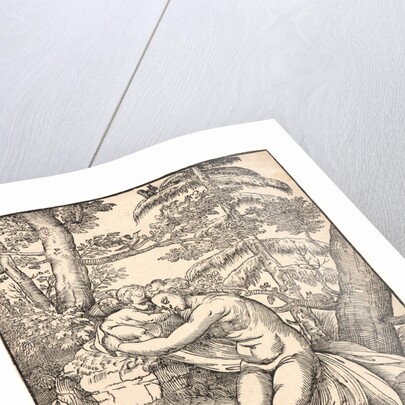 Venus and Amor, 1566 by Nicolò Boldrini