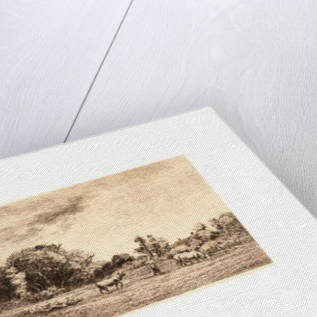 Moonrise (Lever de Lune), 1861 by Charles François Daubigny