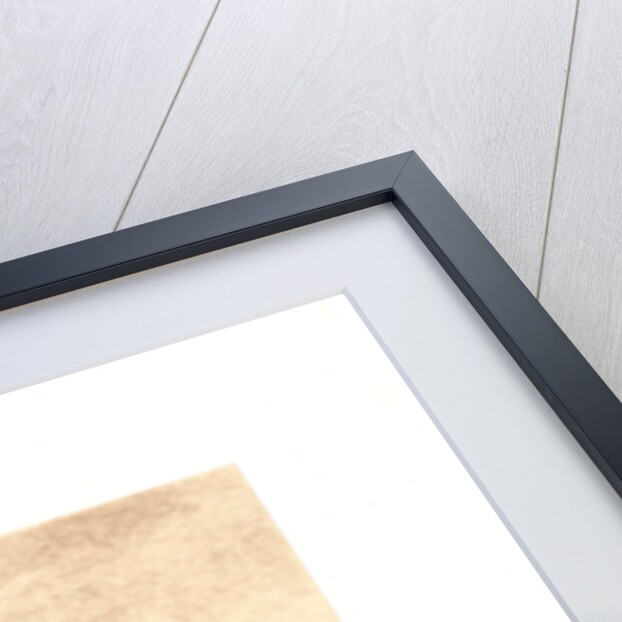 Moonrise (Lever de Lune), 1861 by Charles François Daubigny