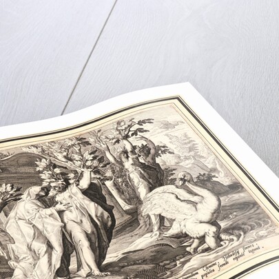 Phaeton's Sisters Changed into Poplars, and Cygnus into a Swan, ca. 1590 by Anonymous