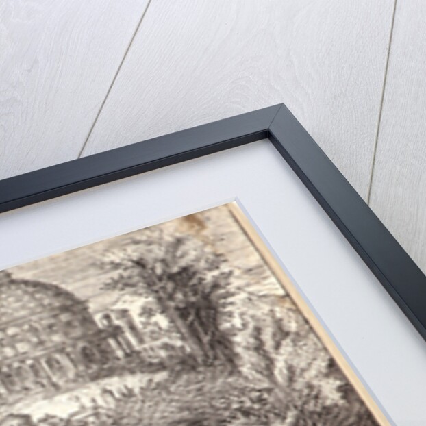 Latona Transforms the Lykian Peasants Who Had Insulted Her into Frogs by Etienne Delaune