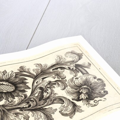 Plate 9 from the set of Twelve Ornament Friezes, ca. 1670 by Domenico Bonavera