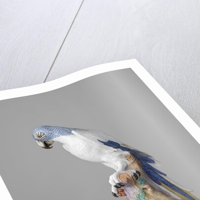 Blue Macaw by Johann Joachim Kändler