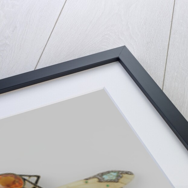 Comb in the form of two dragonflies by Lucien Gaillard