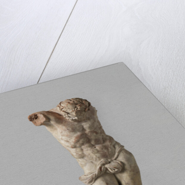 Untitled by Artus Quellinus I