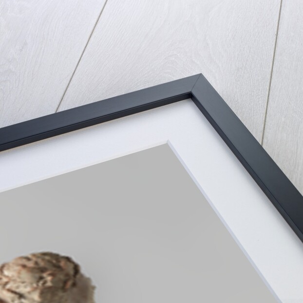 Untitled by Artus Quellinus I