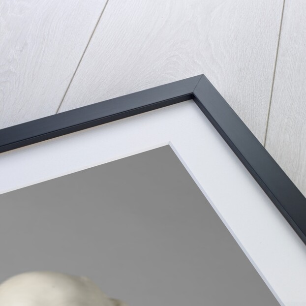 Bust of Dr. Petrus Josephus Hubertus Cuypers by Toon Dupuis