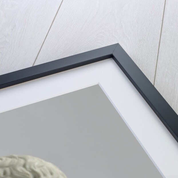 Portrait of Cornelis Apostool by Paulus Joseph Gabriël