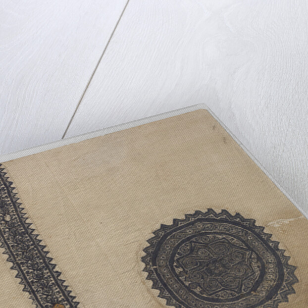 Tissue Fragment with orbiculus and clavus by Anonymous