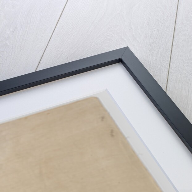 Tissue Fragment with orbiculus and clavus by Anonymous