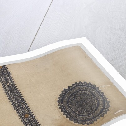 Tissue Fragment with orbiculus and clavus by Anonymous