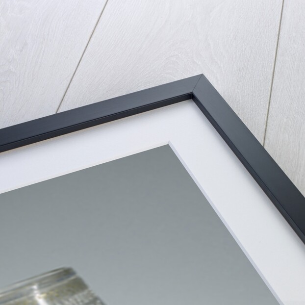 Reichsadler humpen by Anonymous