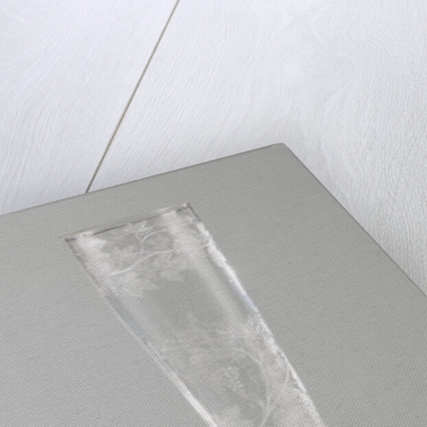 Flute glass by Pieter Nolpe