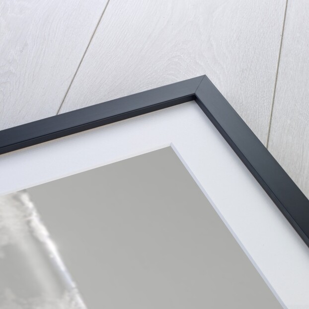 Flute glass by Pieter Nolpe