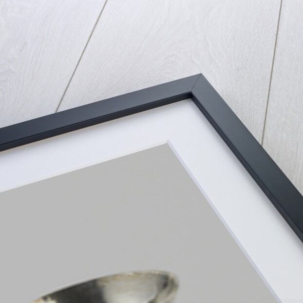 Mortar by Jan Borduur